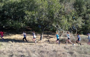 ran_marin_winter_2013