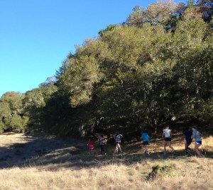 ran_marin_winter_3_2013