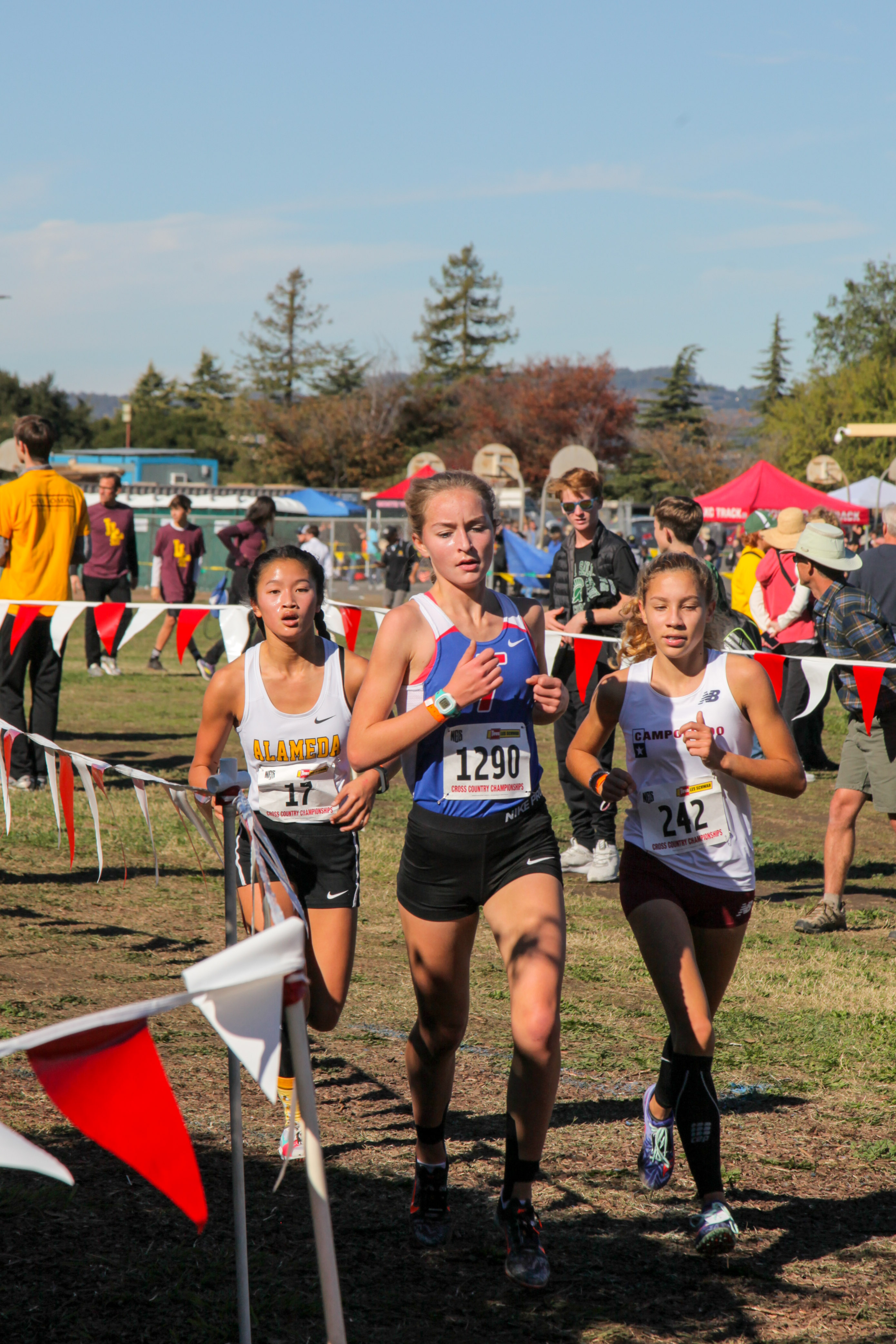 20171118-untitled-296