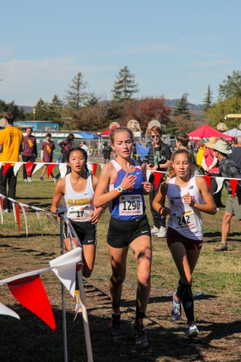 20171118-untitled-296